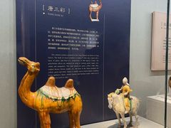 -镇江博物馆
