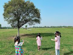 -汉长安城未央宫国家考古遗址公园