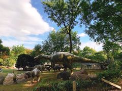 -上海海湾国家森林公园