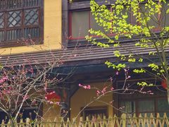 -常德桃花源景区