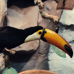 -Zoolung Zoolung动物主题公园(海信广场店)