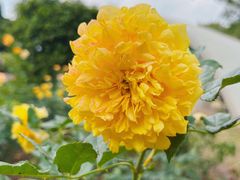 -人民公园(罗湖区)