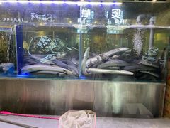 -本炙炭烤·蒲烧活鳗料理店(金沙洲店)