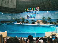 -泉城欧乐堡海洋极地世界