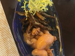 -新君悦国际酒店