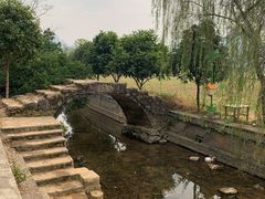 -村上春树
