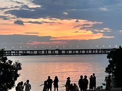 -宝安西湾红树林湿地公园