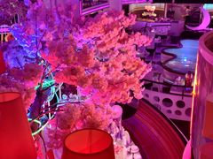 -巴特餐饮6加1音乐餐吧·新疆菜