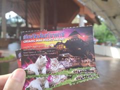 -清迈夜间动物园