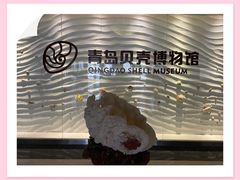 -青岛贝壳博物馆