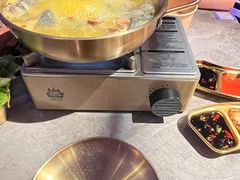 -Darling Queen·Mini·Live·House