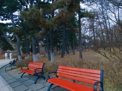 -长春市南湖公园