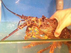 -小城故事·地道宁波味(月湖盛园店)