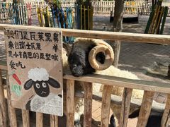 -水上乐园·欢乐世界