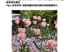 -大潮淮·淮扬菜(何园旗舰店)