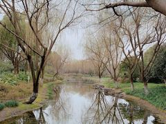 -杭州城北体育公园