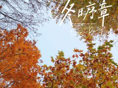 -大兴滨河森林公园