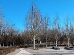 -永定河休闲森林公园