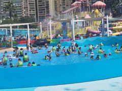 -海合安成都极地海洋公园
