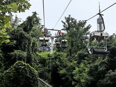 -富斯特索道