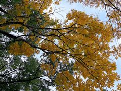 -徐家汇源景区-衡山公园