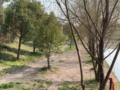 -广富林郊野公园