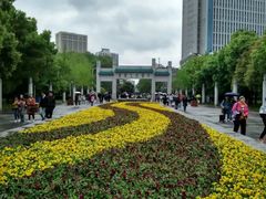 -武汉大学-樱园
