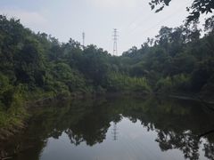 -青龙山国家森林公园