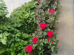 -大妙火锅·非物质文化遗产(东湖公园店)