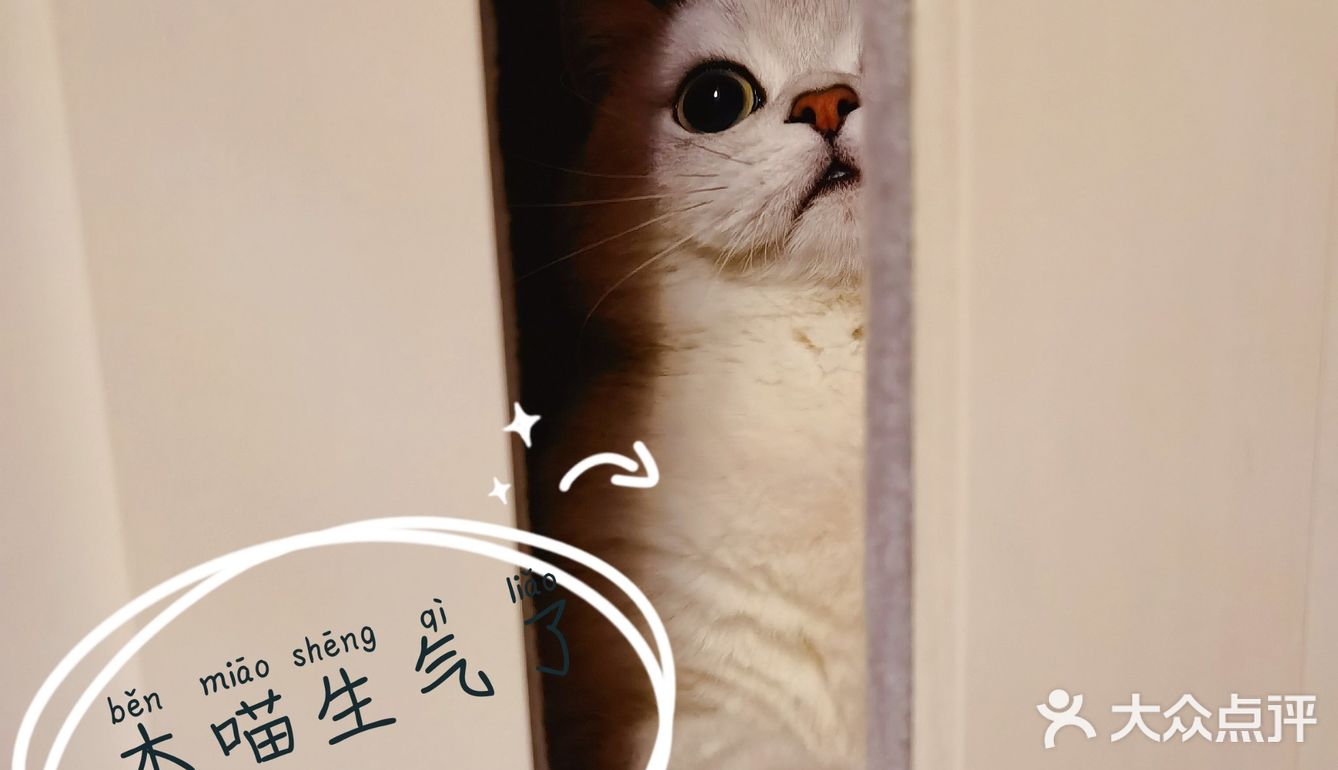 泡泡糖的日常——禁闭篇