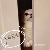 泡泡糖的日常——禁闭篇