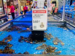 -盒马鲜生(大成店)