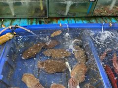-蓝湾碧波·老字号·疍家非遗海上餐厅