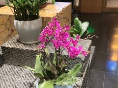 -黔蘑菇四季餐厅(观山湖店)