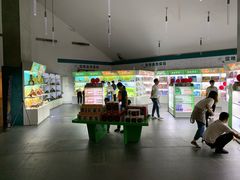 景点-中国湿地博物馆