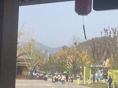 -千年银杏谷文化旅游区