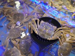 螃蟹-澜悦港海鲜体验主题餐厅