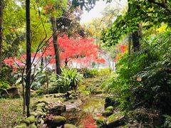 -青城道汤池