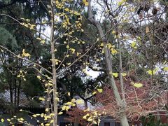-湛山寺