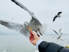 -海埂大坝