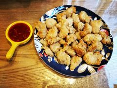 -有猫儿腻咖啡厅.猫咖