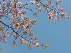-龙美术馆(西岸馆)