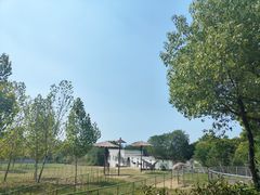 -合肥野生动物园