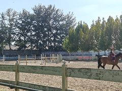 -北京群众马术培训基地