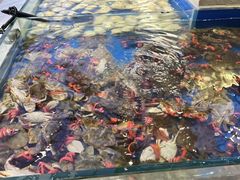-川骄海鲜自助(河东店)