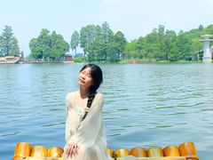 -东湖落雁景区