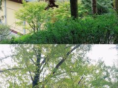 -雁荡山风景名胜区