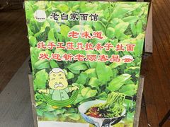 -老白家面馆(测绘东路总店)