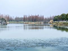 -艾溪湖湿地公园