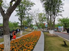 -上海长兴岛郊野公园